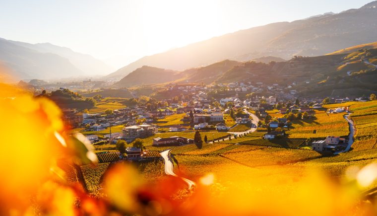 Salgesch im Herbstlicht